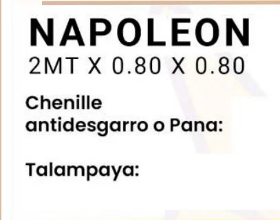 Imagen 2 de Napoleon